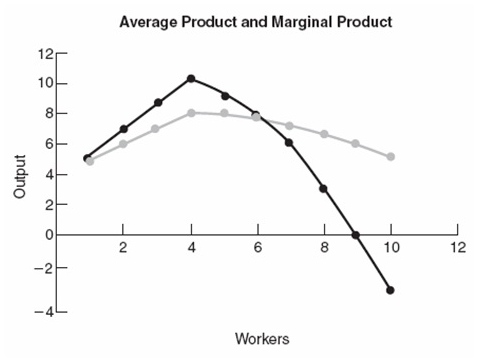 141_Average Product and Marginal Product.png