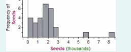 211_Seeds.png
