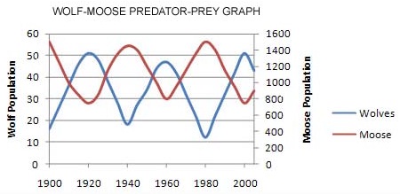 2342_Wolf-Moose Predator-Prey Graph.jpg