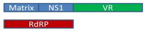 54_What the term H7N9 influenza virus means4.png