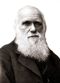1411_Charles-Darwin.gif