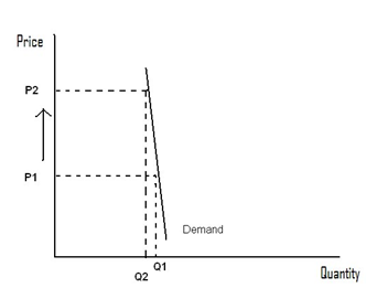 100_Pace Elasticity of Demand2.png