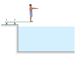 1108_The diving board.png