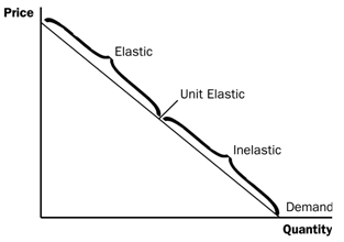 1113_Pace Elasticity of Demand3.png