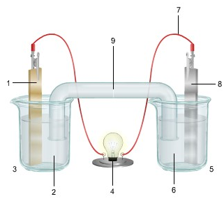 1129_diagram shows an electrochemical cell.png