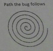 1141_Path the bug follows.jpg