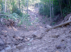 1197_landslide.png