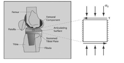 1233_figure1.jpg