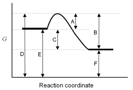 1250_reaction-coordinate.png