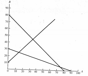 1258_graph of the constraint lines.jpg