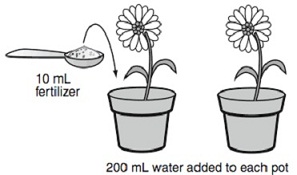 1290_Plant.jpg