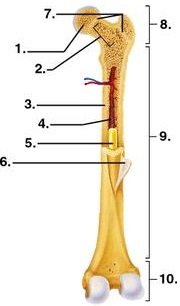 1345_figure.jpg
