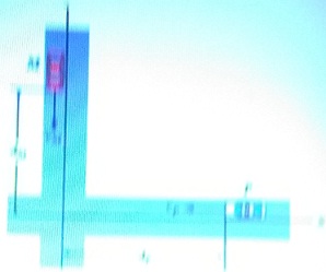 1420_Figure2.jpg