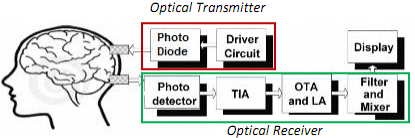 1438_Functional Near Infrared Spectroscopy.png