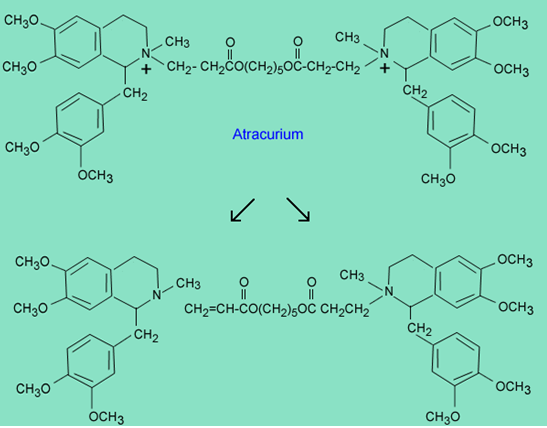 1498_molecule4.png