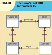 1544_orientation of the ERD components.png