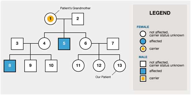 1561_Genetic Counselor.png