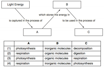1584_energy diagram.png
