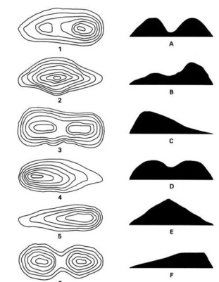 1593_figure1.jpg