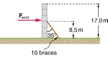 1658_Braces.jpg
