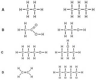 1844_Figure12.jpg