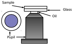 1865_microscopy.jpg