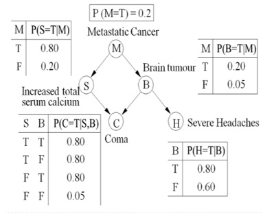 1977_A BN representation of metastatic cancer .jpg