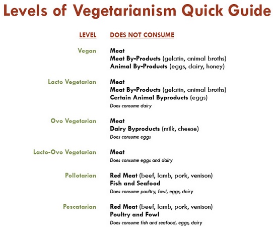 2007_Levels of vegetarianism.jpg