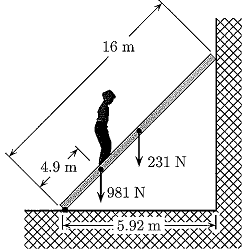 2022_Calculate normal force exerted by floor on the ladder.png