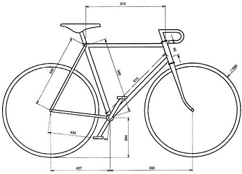 2024_figure1.jpg