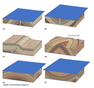 2183_figure3.jpg