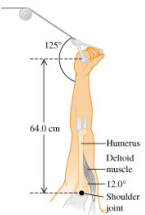 2197_Is the angular momentum of the block conserved3.png