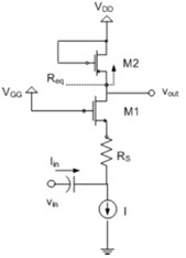 219_figure5.jpg