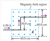 2224_Magnetic field4.png