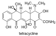 2232_figure.jpg