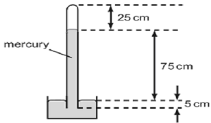 2264_figure11.png