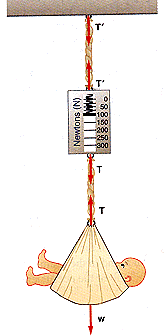 2278_The baby being weighed.gif