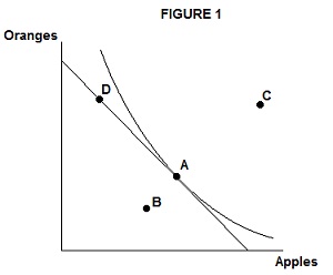 240_budget constraint for buying apples and oranges.jpg