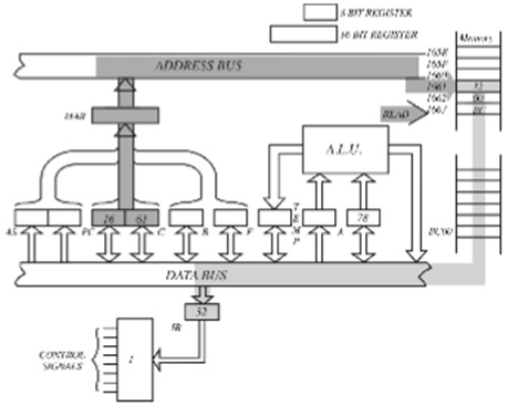 2410_Figure3.jpg