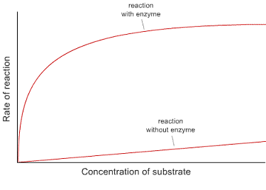 2466_The rates of reaction in a chemical reaction.png