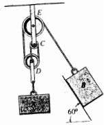 271_Figure6.jpg