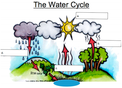 299_water cycle.png