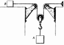 378_Figure5.jpg