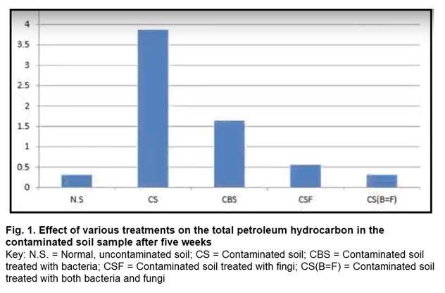 441_Treated contaminated soil with bacteria.jpg
