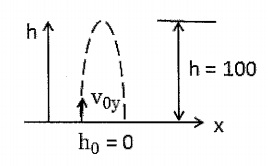 451_Find the value of the initial velocity.jpg