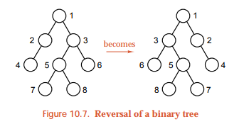 47_Tree.jpg