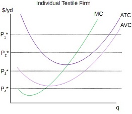 509_Individual Textile Firm.jpg