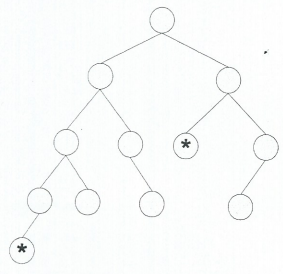 536_Tree Graph.png