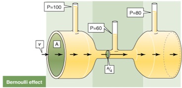 555_Fig1.jpg