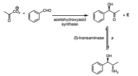 561_figure4.jpg